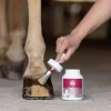 Magic Brush Hoof Oil YPremium med Børste 425ml