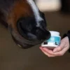 Magic Brush Lucky Lips Lip Balm for Horses Apple 150ml