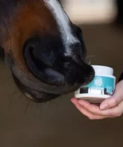 Magic Brush Lucky Lips Lip Balm for Horses Apple 150ml