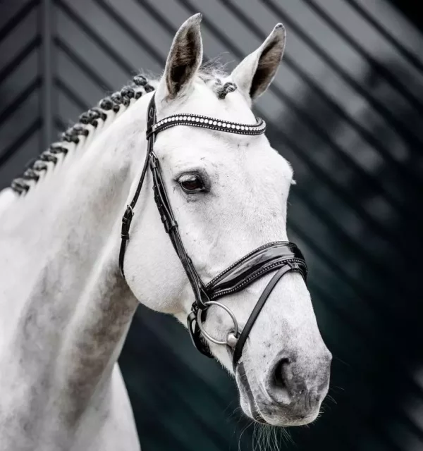 Horseware Diamante Flash Hodelag