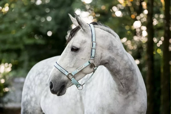 Horseware Field Safe Blue Haze - beitesikker grime