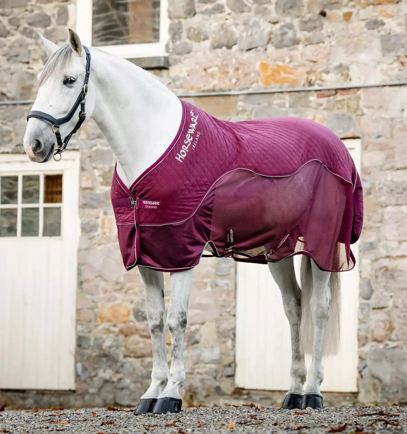 Horsewear Signature Travel Cooler 0g _ Burgundy