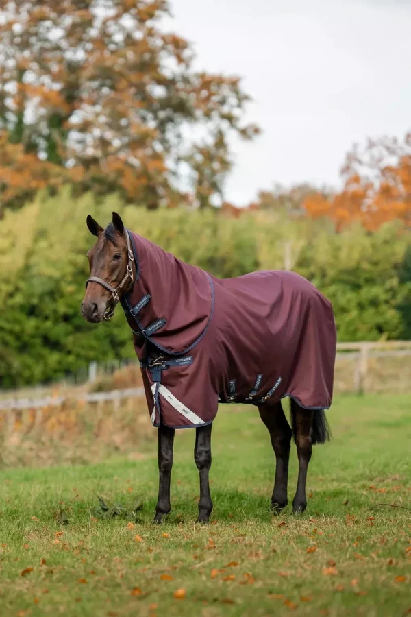 Amigo 1200D plus Turnout Lite 50g - Vfront _Burgundy N/ & TG