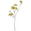 Geranium Branch H70cm Moss