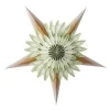 Paper Star Aurora Mint 70cm