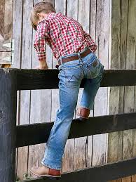 Wrangler's Western Boys Retro Slim