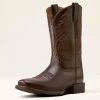 Sport Herdsman (brun) - Ariat