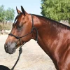 Clinic Halter - Taugrime m leietau