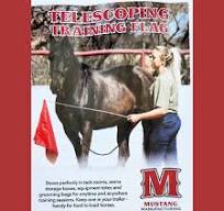 Teleskop Treningsflagg - Mustang