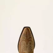 gallery-5497-for-10080383