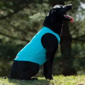Dog Cooling Vest - Terrain D.O.G