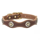 Lone Star Legend Dog CollarLone Star Legend Dog Collar - Weaver Pet