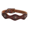 Sundance Dog Collar - Weaver Pet