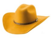 Life With You 4X - Mustard - Bullhide