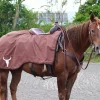 All That Riding Rug - Brown ATW