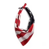 USA Bandana - M&F