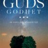 Et møte med Guds godhet – Bill Johnson (Andaktsbok)