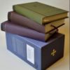 Bibel 2011, Litterær utgåve, 3 bind (NN)