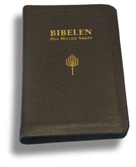 Bibelen - Den Hellige Skrift (88/07), Mellomstor, Mørk brun geiteskinn (BM)