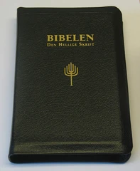 Bibelen - Den Hellige Skrift (88/07), Storskrift, Sort geiteskinn (BM)