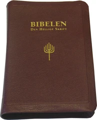 Bibelen - Den Hellige Skrift (88/07), Storskrift, Burgunder geiteskinn (BM)