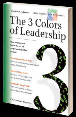 The 3 Colors of Leadership