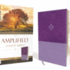 AMP - Amplified Study Bible, Imitation Leather, Purple
