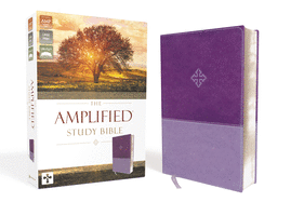 AMP - Amplified Study Bible, Imitation Leather, Purple