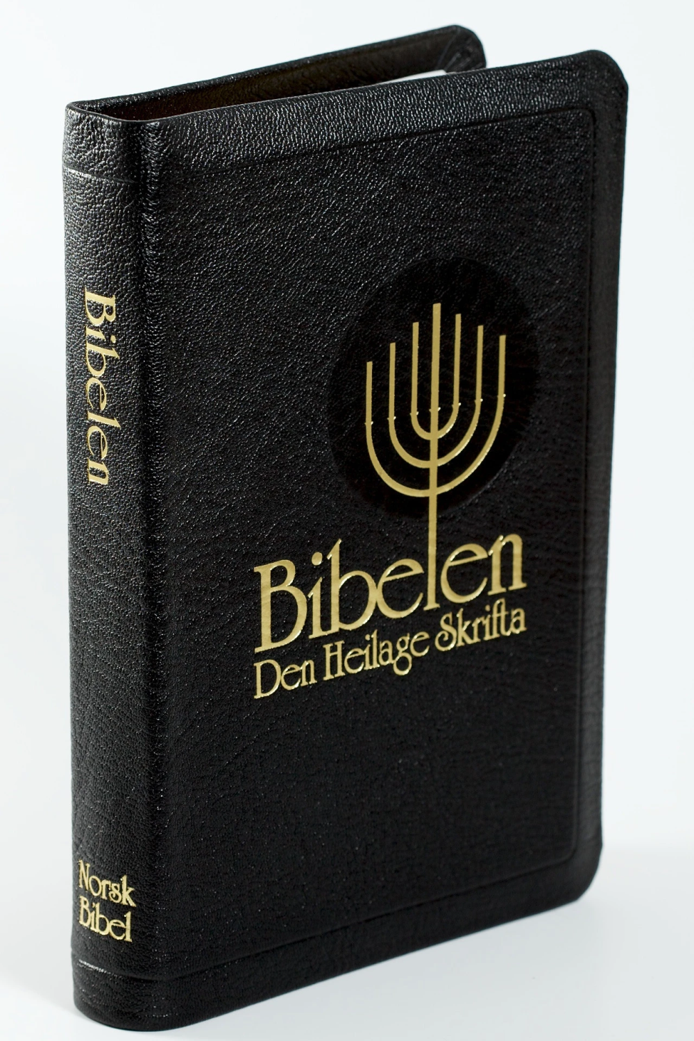 Bibelen - Den Heilage Skrifta (94), Storskrift, Svart geiteskinn (NN) Register