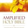 AMP - Amplified Outreach Bible (Paperback)