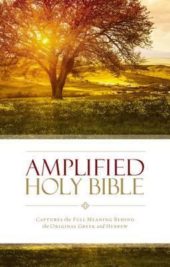 AMP - Amplified Holy Bible (Hardcover)