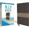 NIV - Thinline Bible, Giant Print, Imitation Leather, Brown/Tan, Red Letter Edition (Special)
