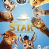 The Star/Stjernen (DVD)