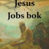 Skyggen av Jesus i Jobs bok