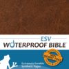 ESV - Waterproof Bible, Brown