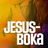 Jesus-boka, 10 stk (35% rabatt)