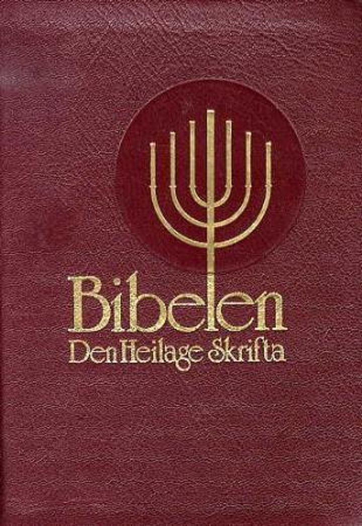 Bibelen - Den Heilage Skrifta (94), Mellomstor, Burgunder geiteskinn (NN)