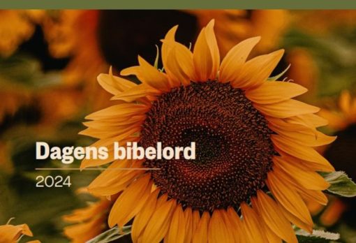 Dagens bibelord 2024