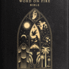Word on Fire Bible - The Pentateuch Volume 3