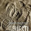 Stjernesti - Songar om Josef og menneske på flukt (bok)