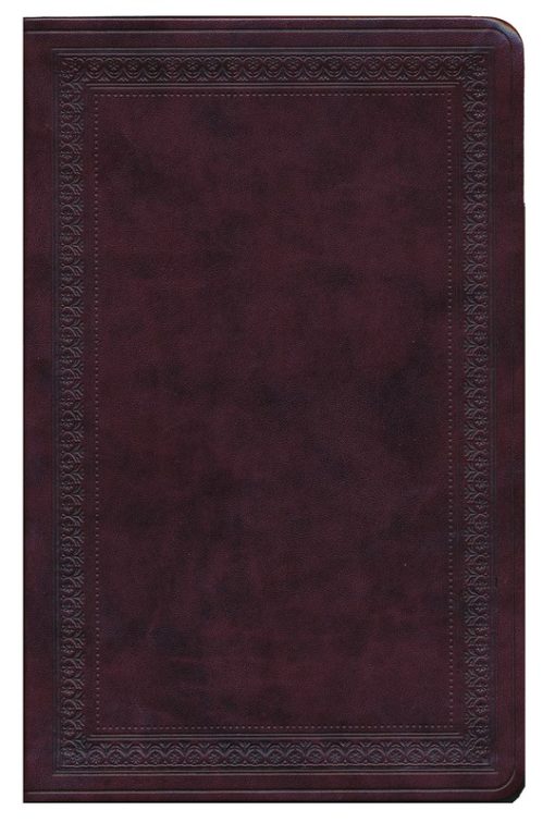 ESV - Large Print Value Thinline Bible, Border Design