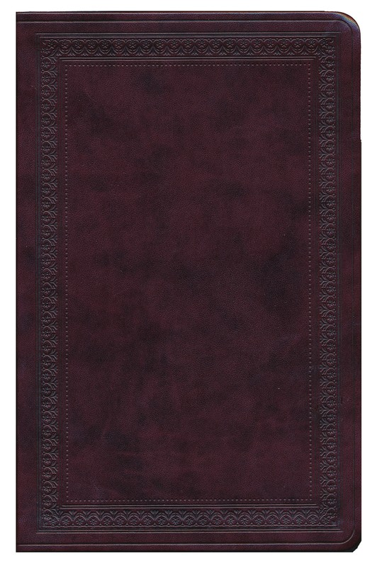 ESV - Large Print Value Thinline Bible, Border Design