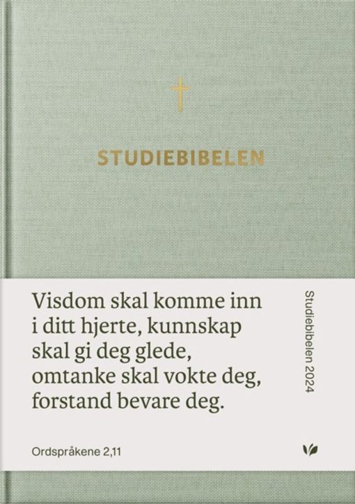 Bibel 2024, Studiebibel (BM/NN)