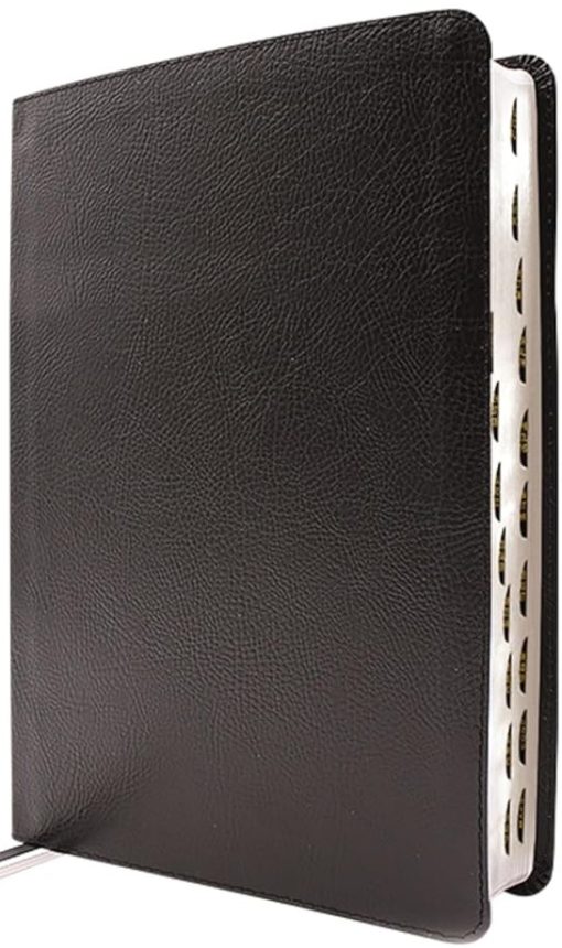 NIV - Application Bible European