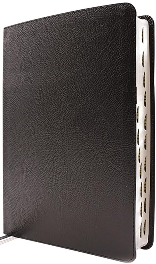 NIV - Application Bible European