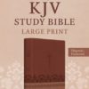 KJV - Study Bible, Large Print, Indexed