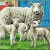 Puslespill, Gårdsdyr, Sau, 7 brikker, Mini (M5)
