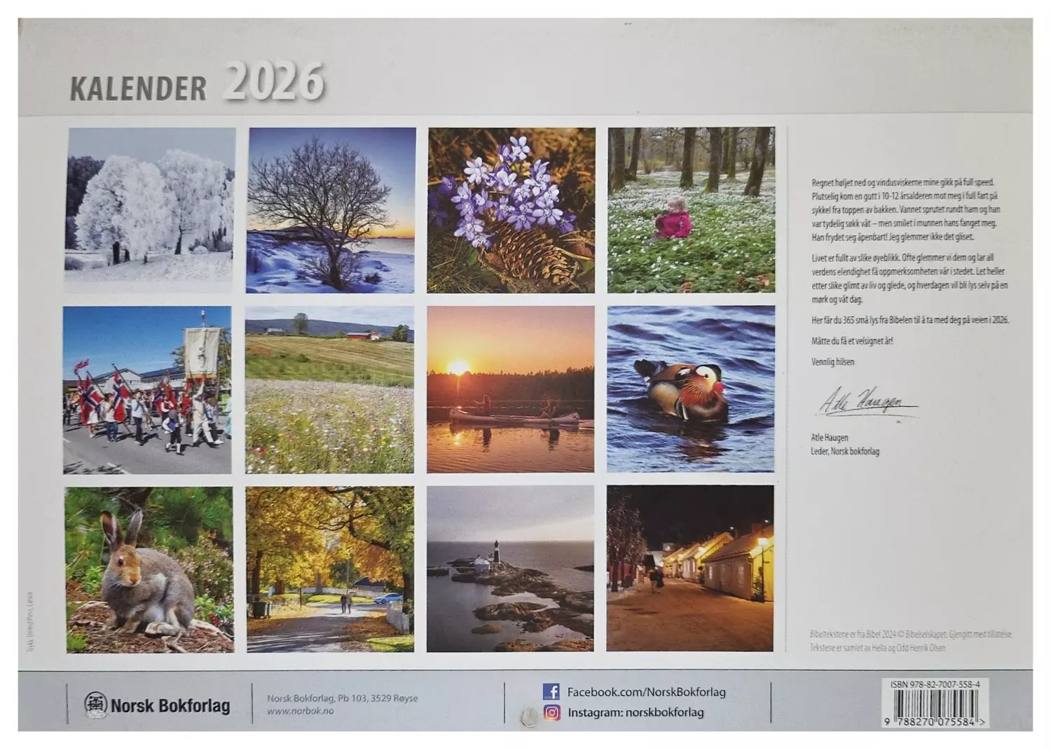 gallery-173-for-9788270075584