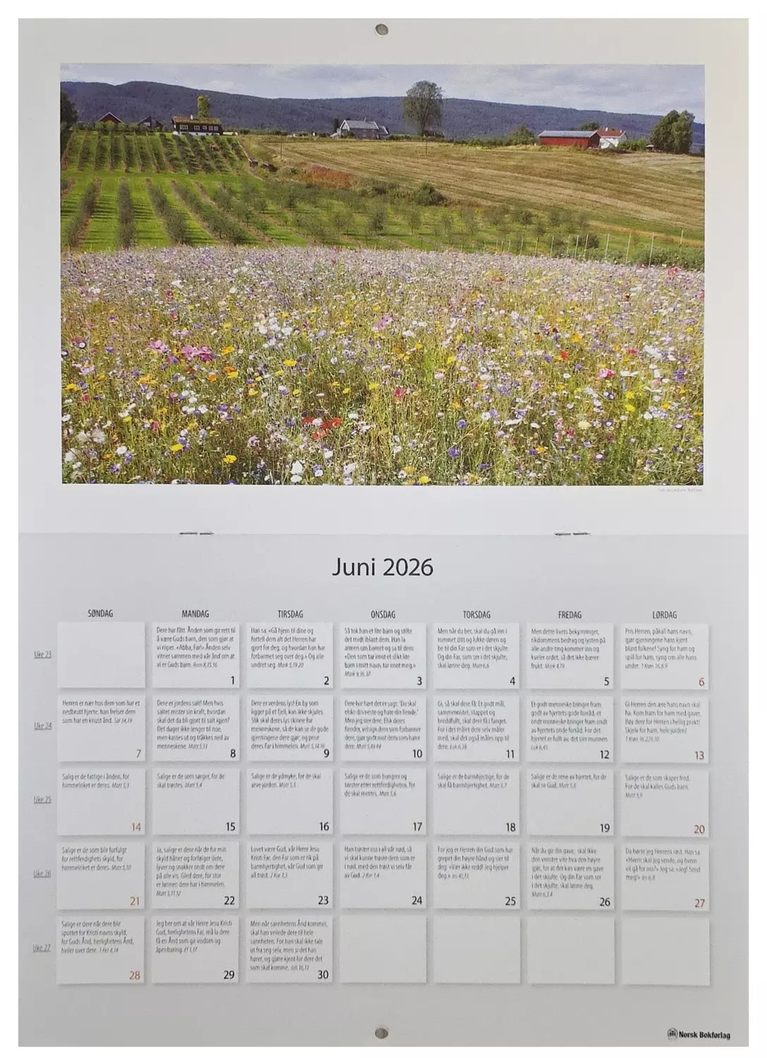 gallery-174-for-9788270075584