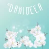 Orkideer